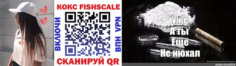 Кокаин FishScale  Суоярви 