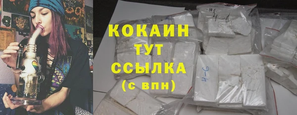 бошки Протвино