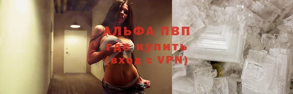 гидра Аркадак