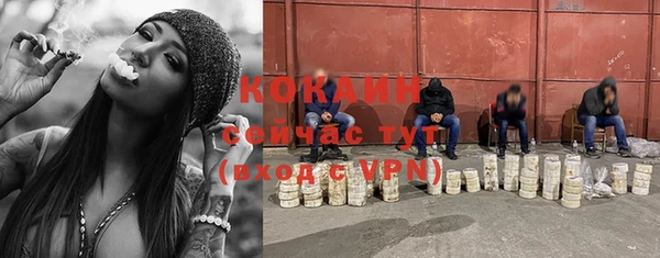 СК Арсеньев