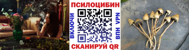 продажа наркотиков  Суоярви  Галлюциногенные грибы GOLDEN TEACHER 